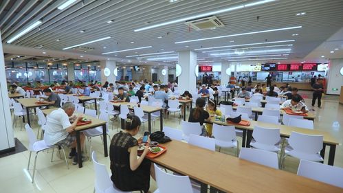 開學必看 校園食品安全與紡織品選購指南