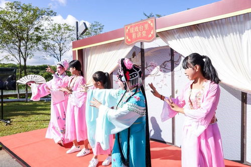 海南舉辦新時代文明實踐志愿服務項目展示活動，數字創意賦能志愿服務新風尚